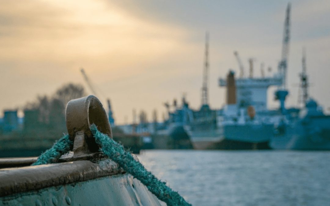 The role of bowtie analysis in ship inspections for risk management